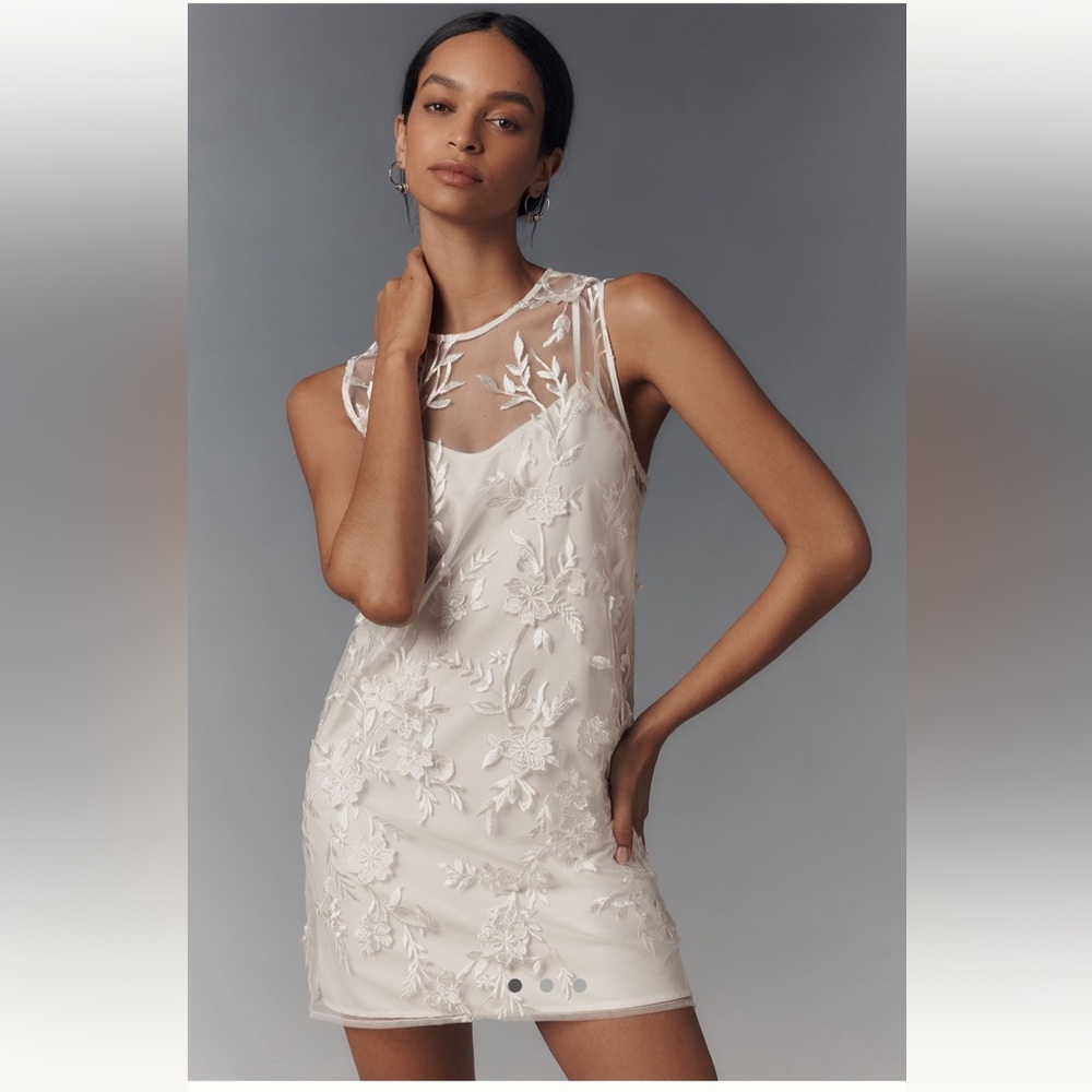 ♥️Anthropologie Flat White Sheer Embroidered Mini Dress